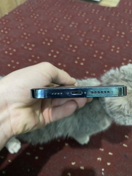 iPhone 12 pro max