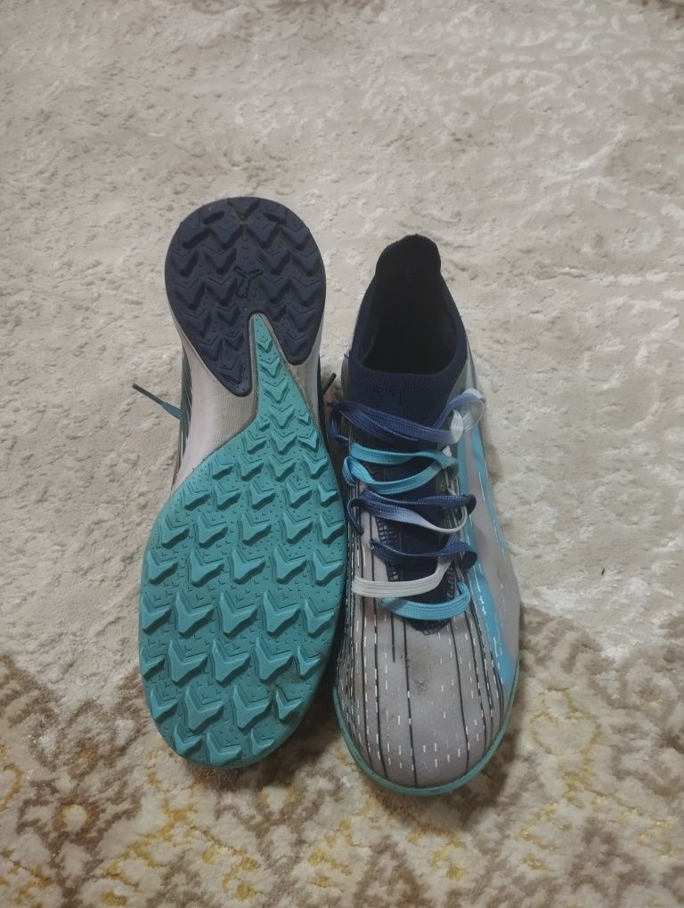 puma сороконожка