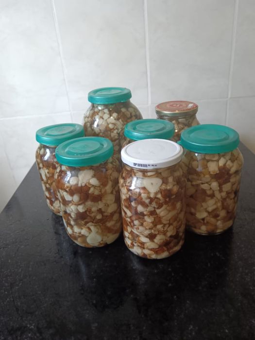 Продаю соленые грибы