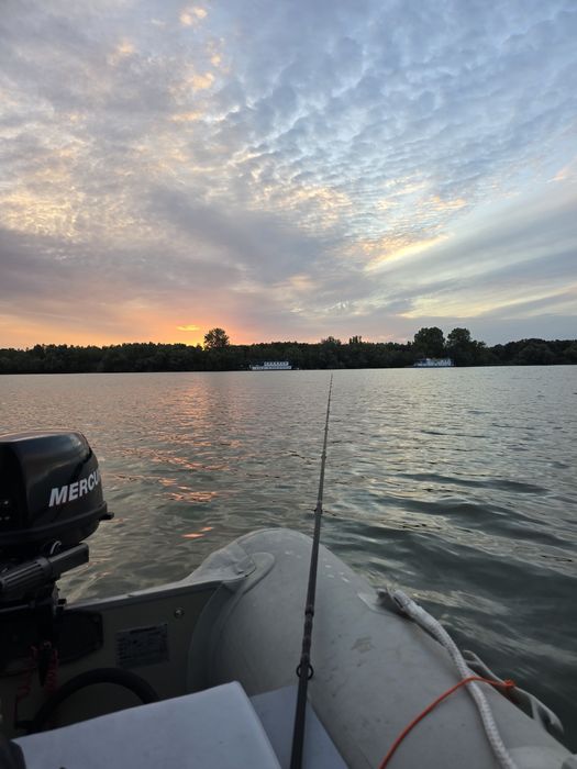 Barca gonflabila Quicksilver 3 m