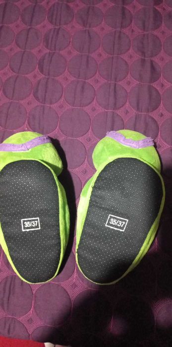 botosi de casa Nickelodeon