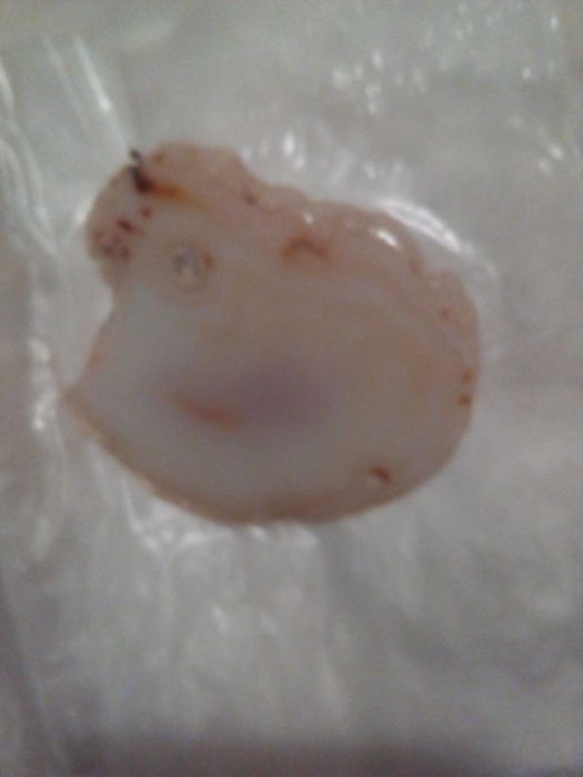 разпродажба    до 12  12 -   колекция