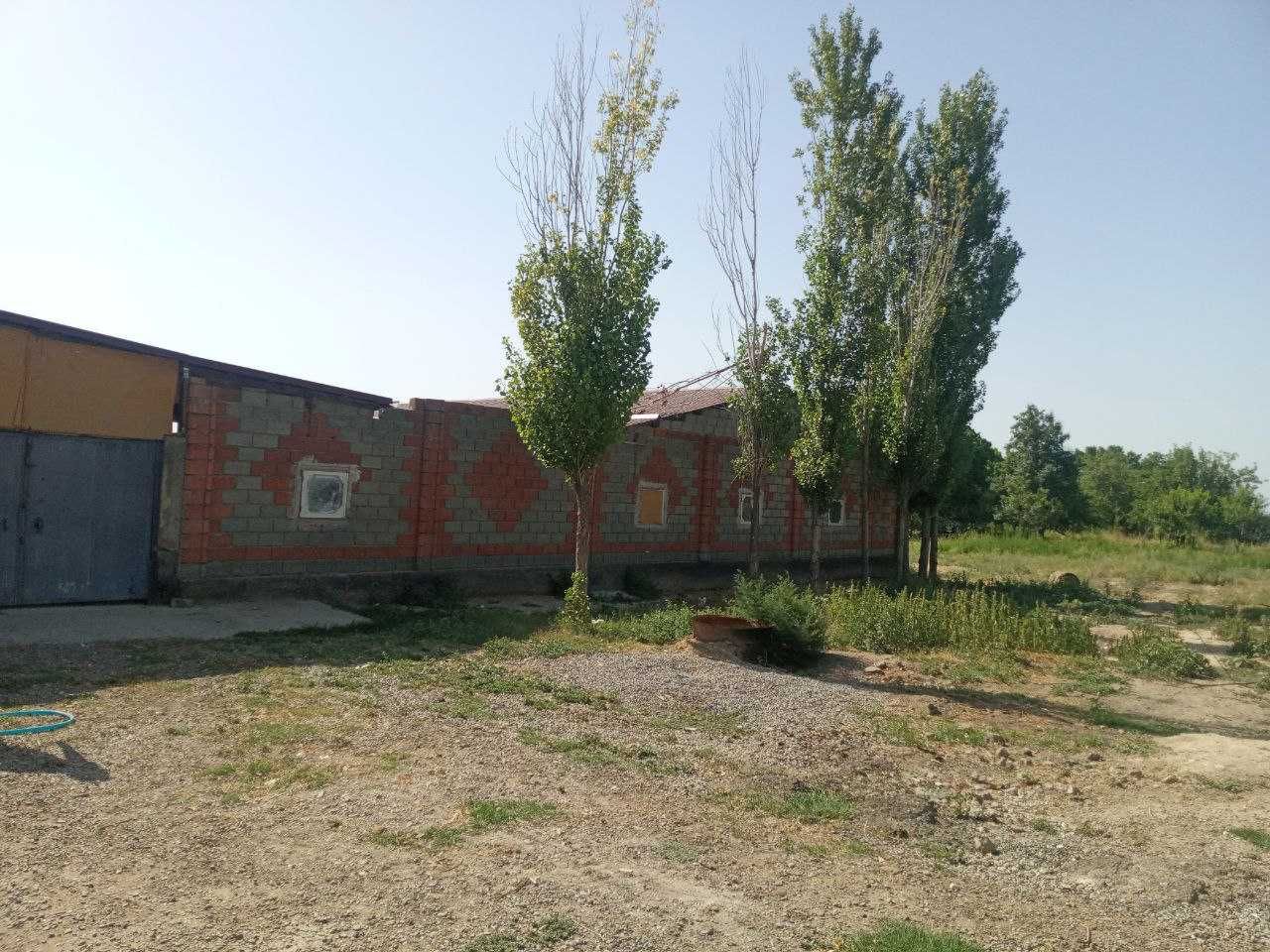 Xovos tumanida Molxona, omborxona binolari sotilmoqda.