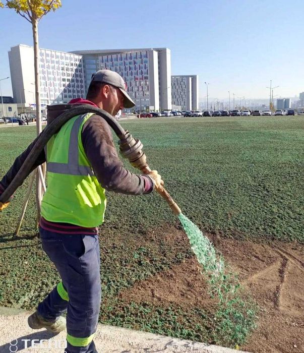 Гидропосев газона. Работаем по всему Узбекистану. Жидкий газон.