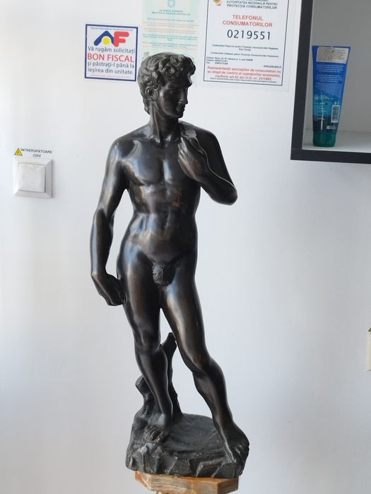 Bronz David secol XIX