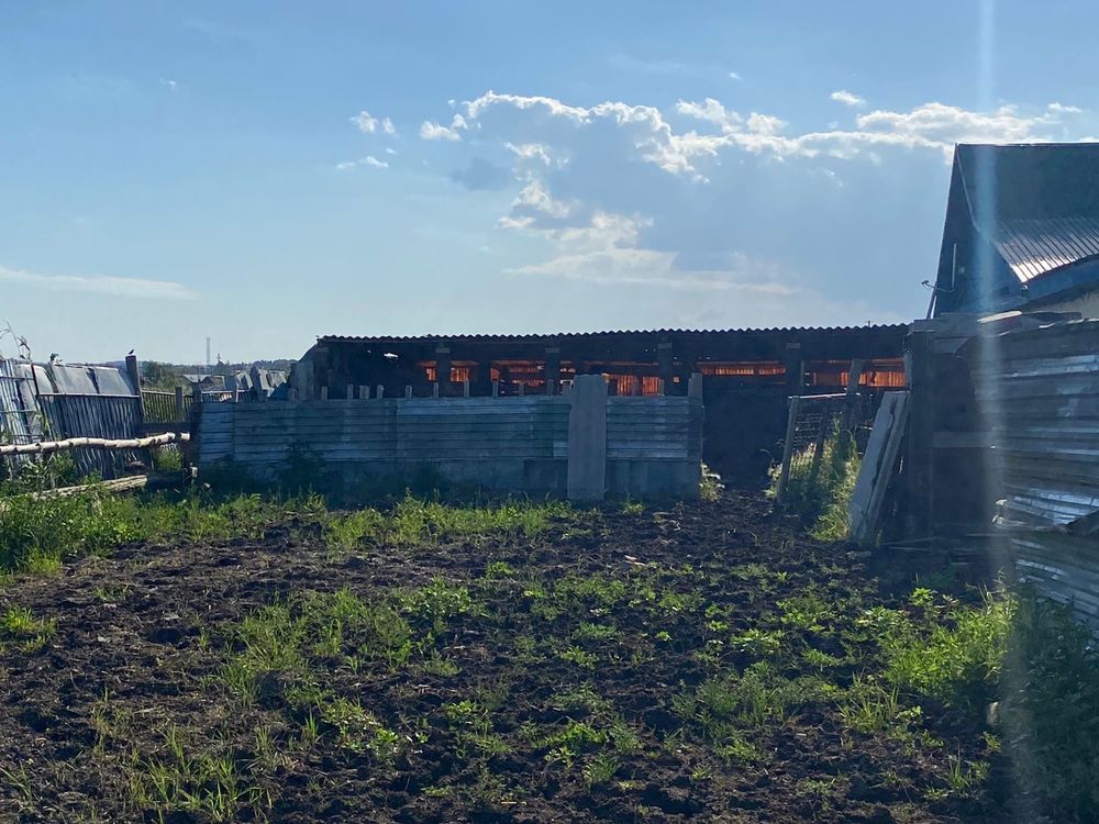 Продам дом Акколь