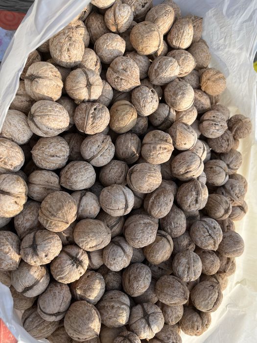 Продам орехи 600 тг за кг