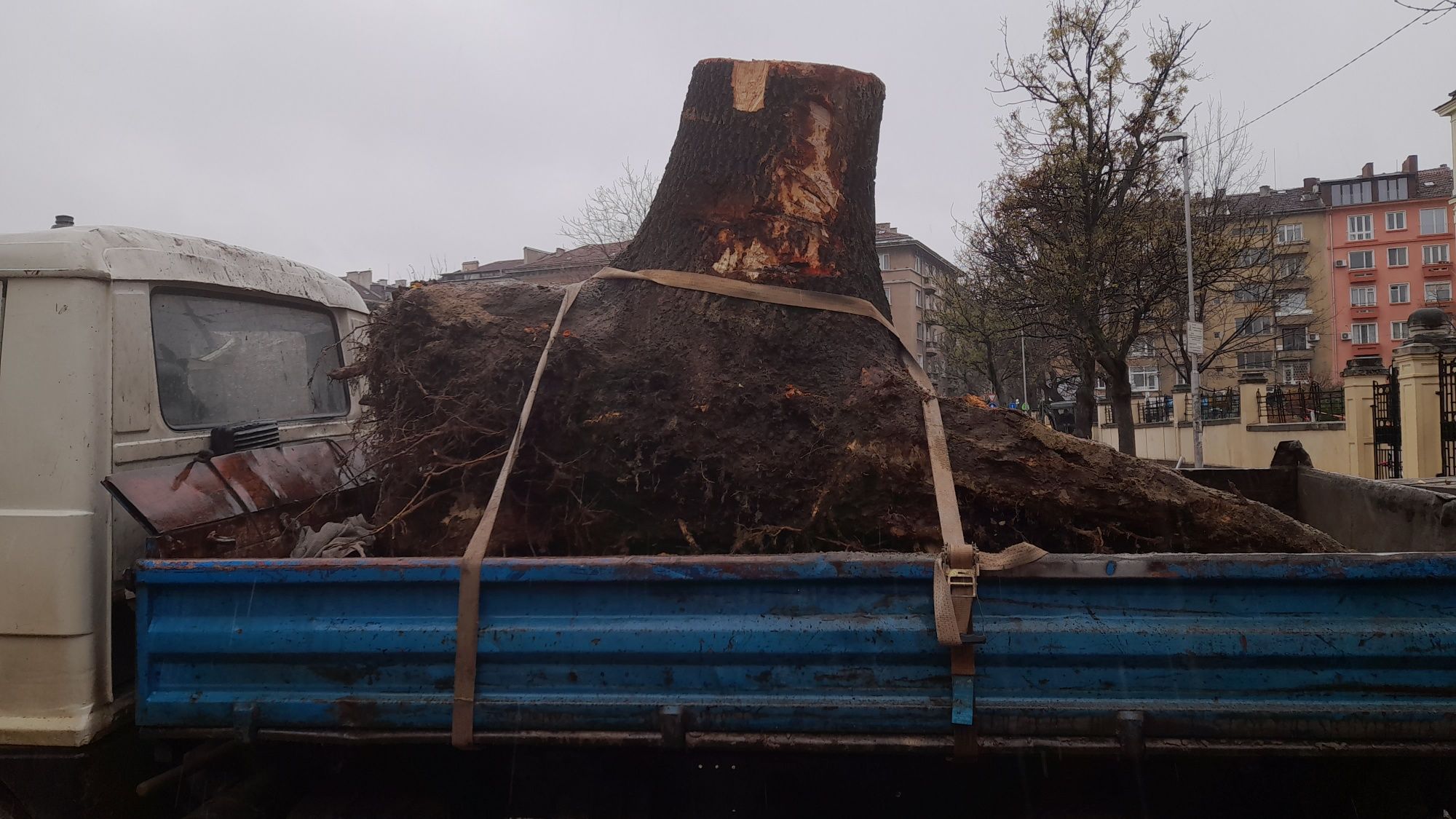 Услуги с багер,бобкат и самосвал .Цена по договаряне