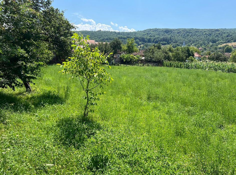 Teren de vânzare