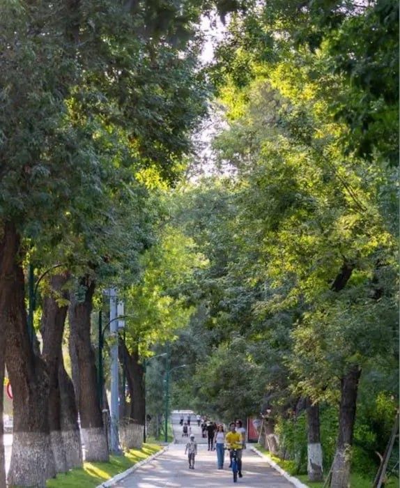 Срочно продается 4/1/4 квартира с подвалом в Шайхонтуре 90м² 125000$