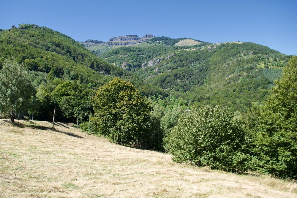 Panasonic Lumix TZ101