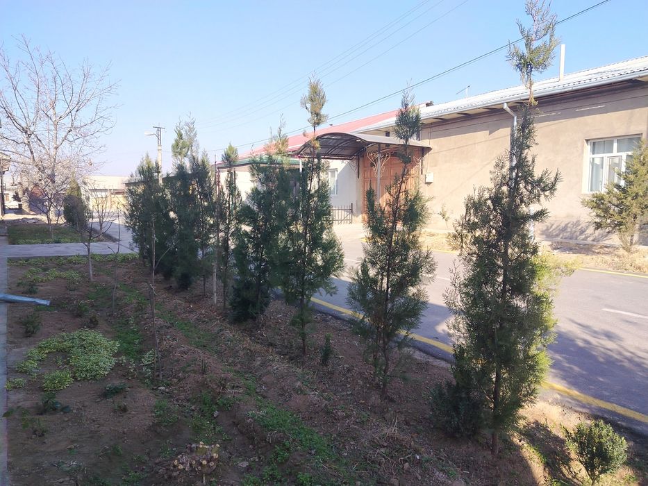 Archa kocha sotiladi