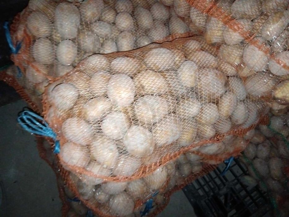 Cartofi de vânzare- Eladò krumpli