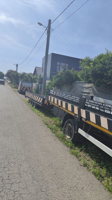 Transport Profesionist platforma cu macara si microbuz.