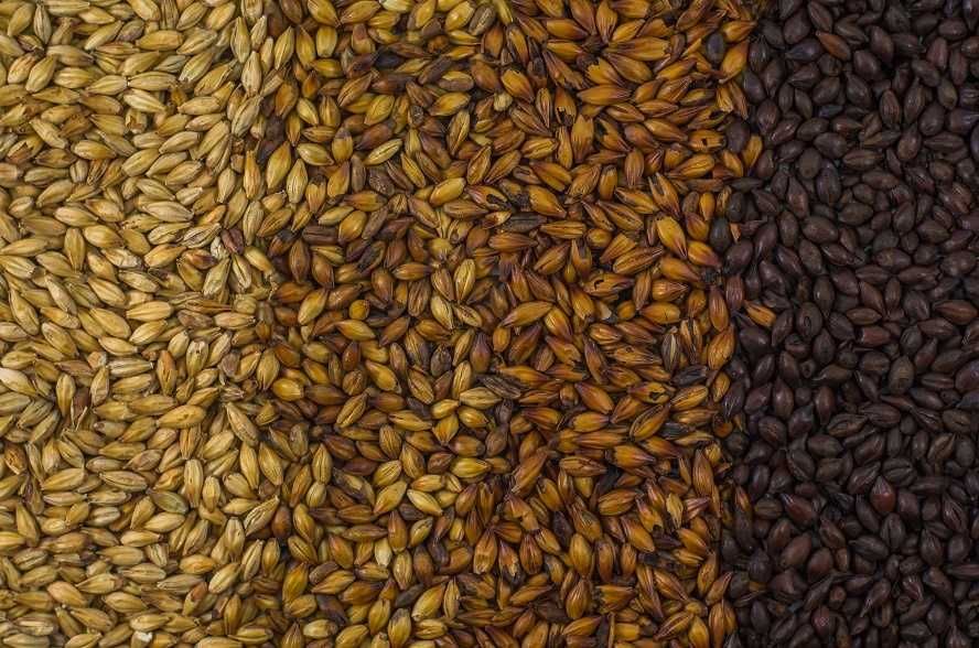 СОЛОД КУРСКИЙ  новое поступление!