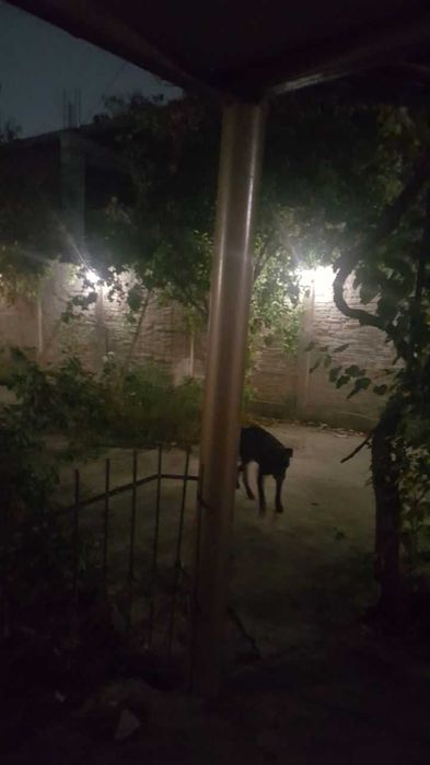 Срочно Продается участок с домом