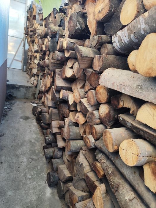 Lemne Stejar și fag