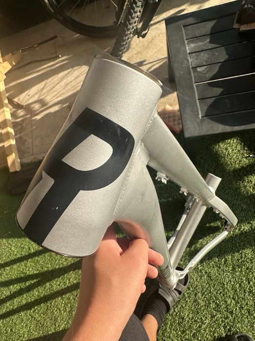 Cadru rose the bruce