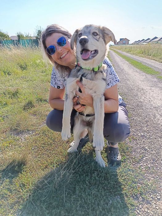 Adopție cățelușa tânără și mama ei