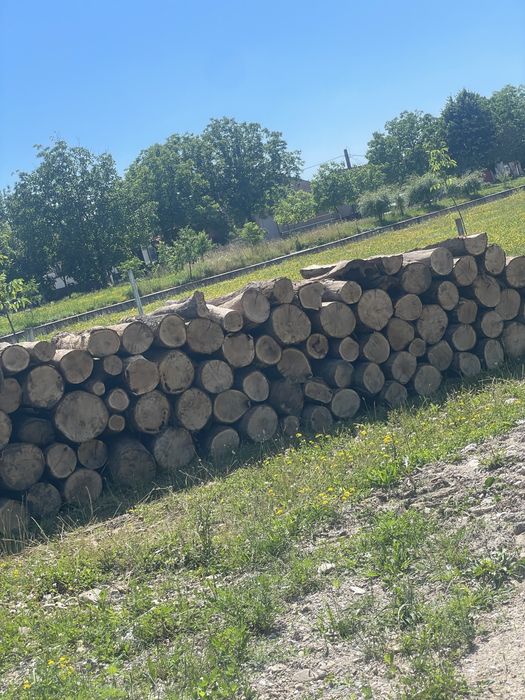 ‼️Lemne de foc de cea mai bună calitate[Fag,Gorun,Carpen,Cer]