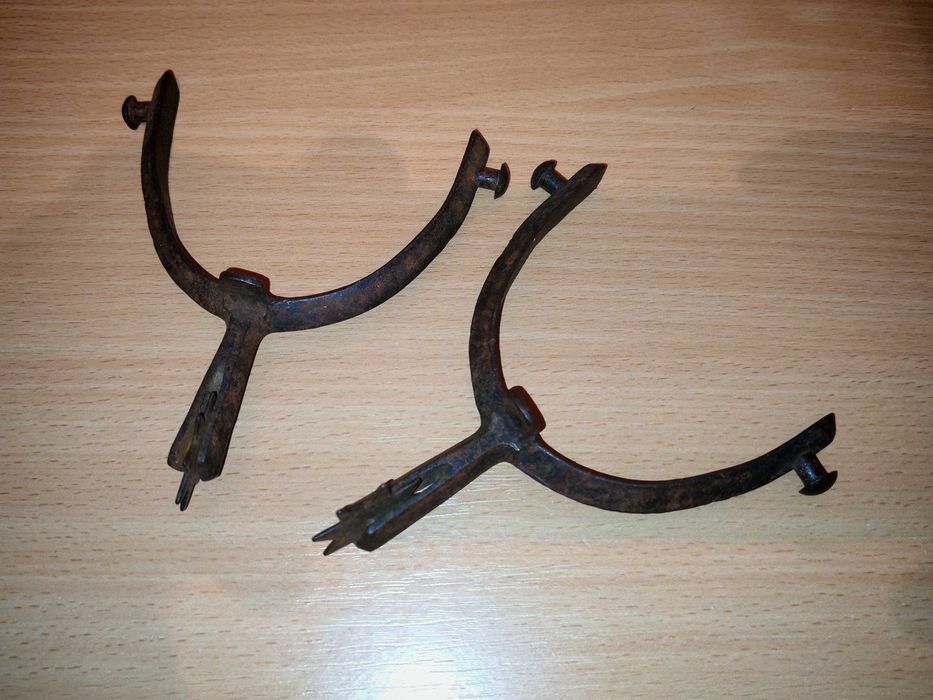 Pinteni vechi de cavalerie de tip husar din anii 1840-1880