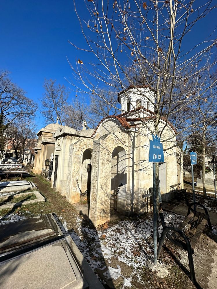 Loc de veci Cimitirul Bellu