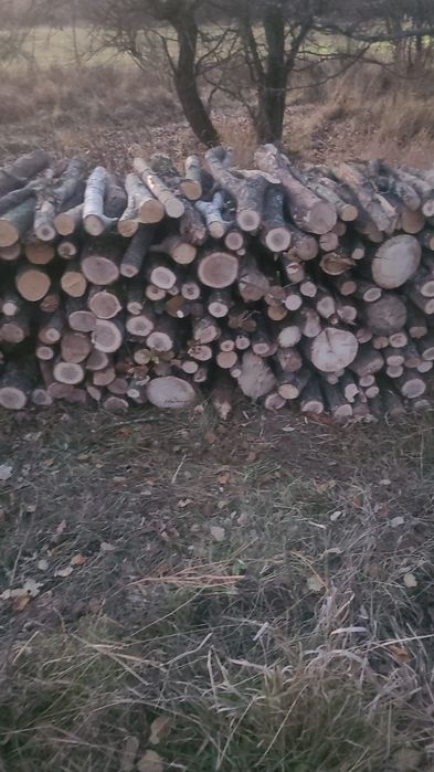 Lemn de foc estenta tare. Stejar și carpen