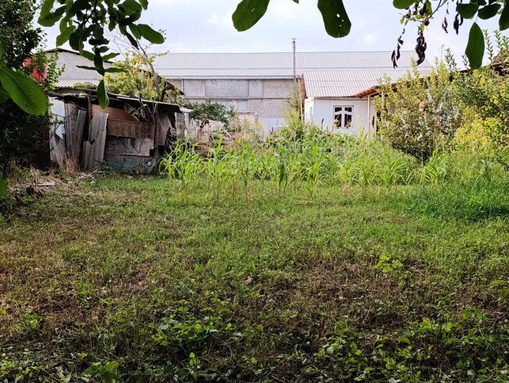 Урта Чирчик туман бойкоргон авангард  168уй