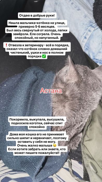 Отдаю в добрые руки!!