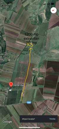 Vând teren Extravilan