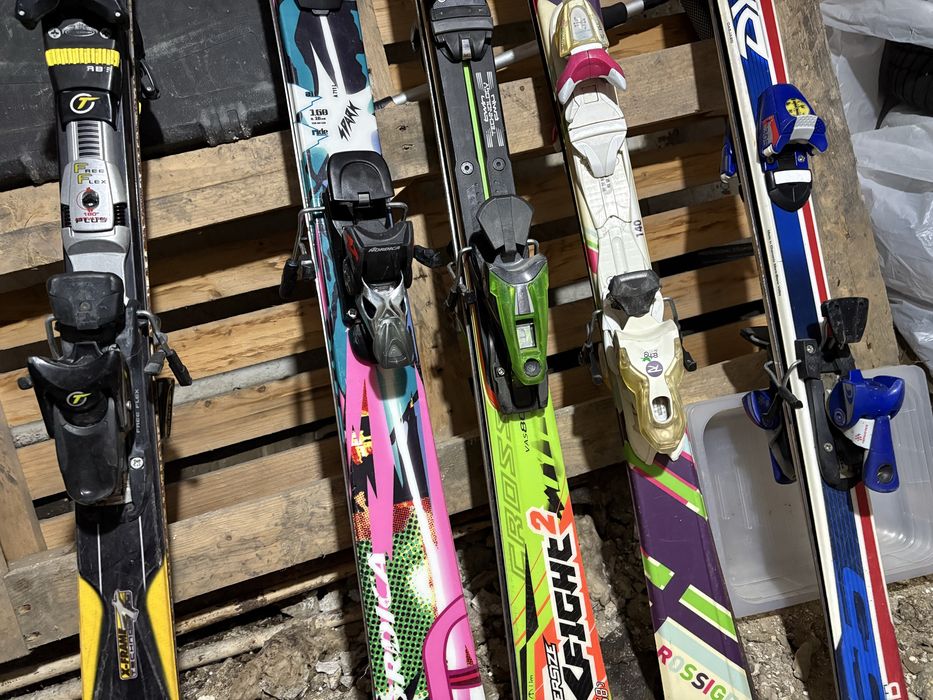 Schiuri adulti si copii