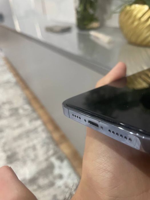 Iphone 13pro max