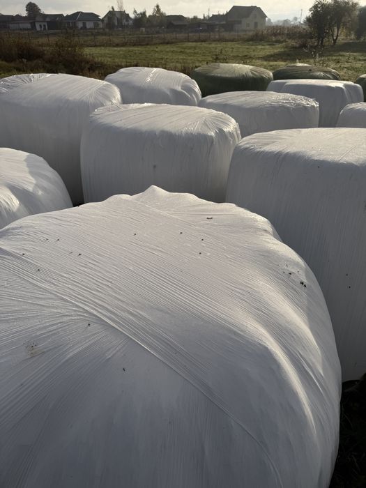 Baloti infoliati de lucernă.