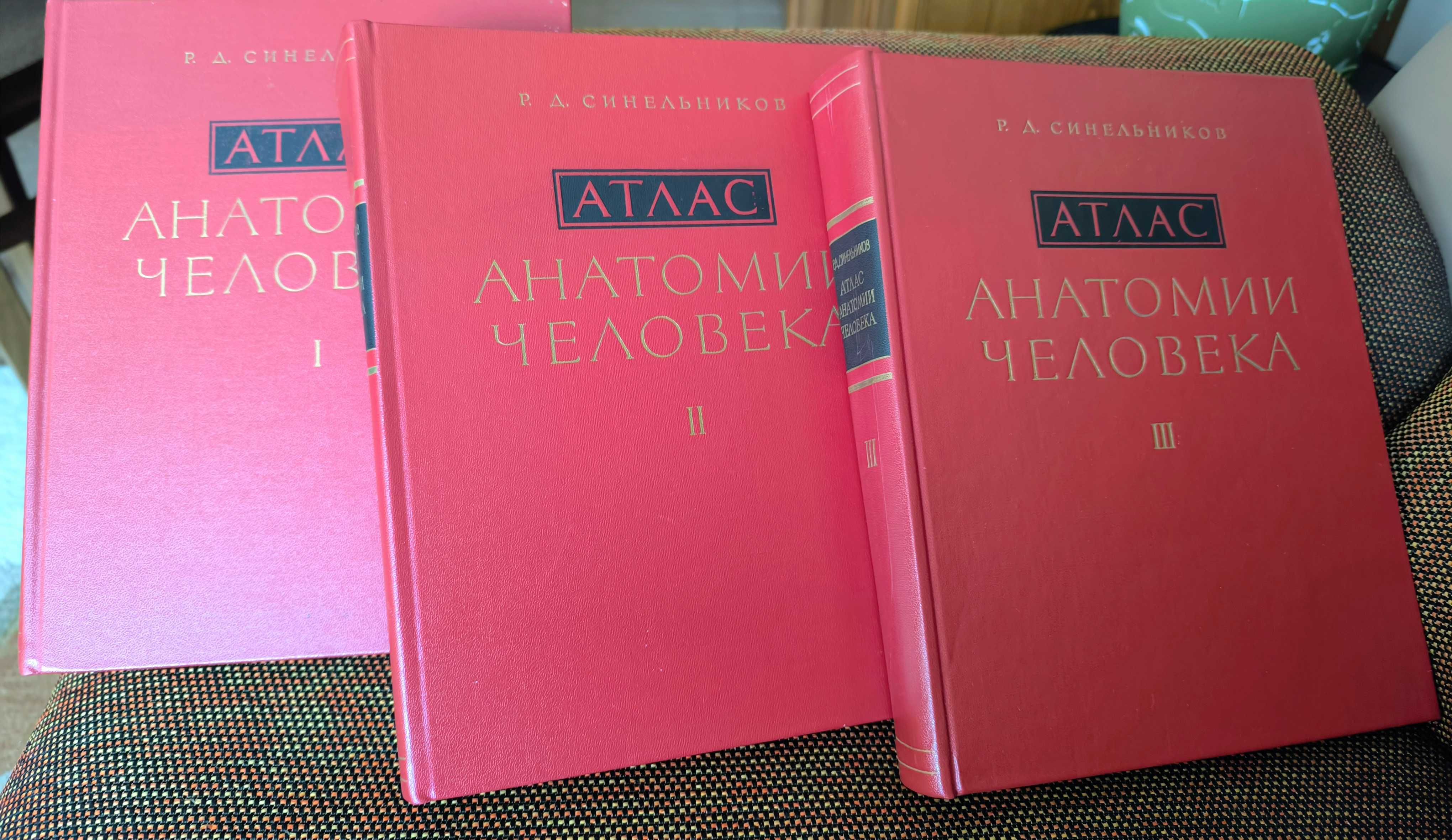 Атласи по анатомия на човека