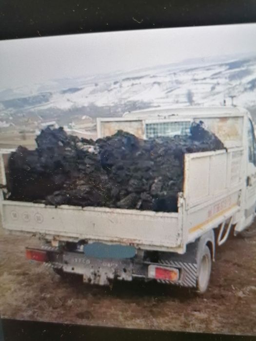 Vând gunoiul de grajd de vaca de doi ani cu transport inclus