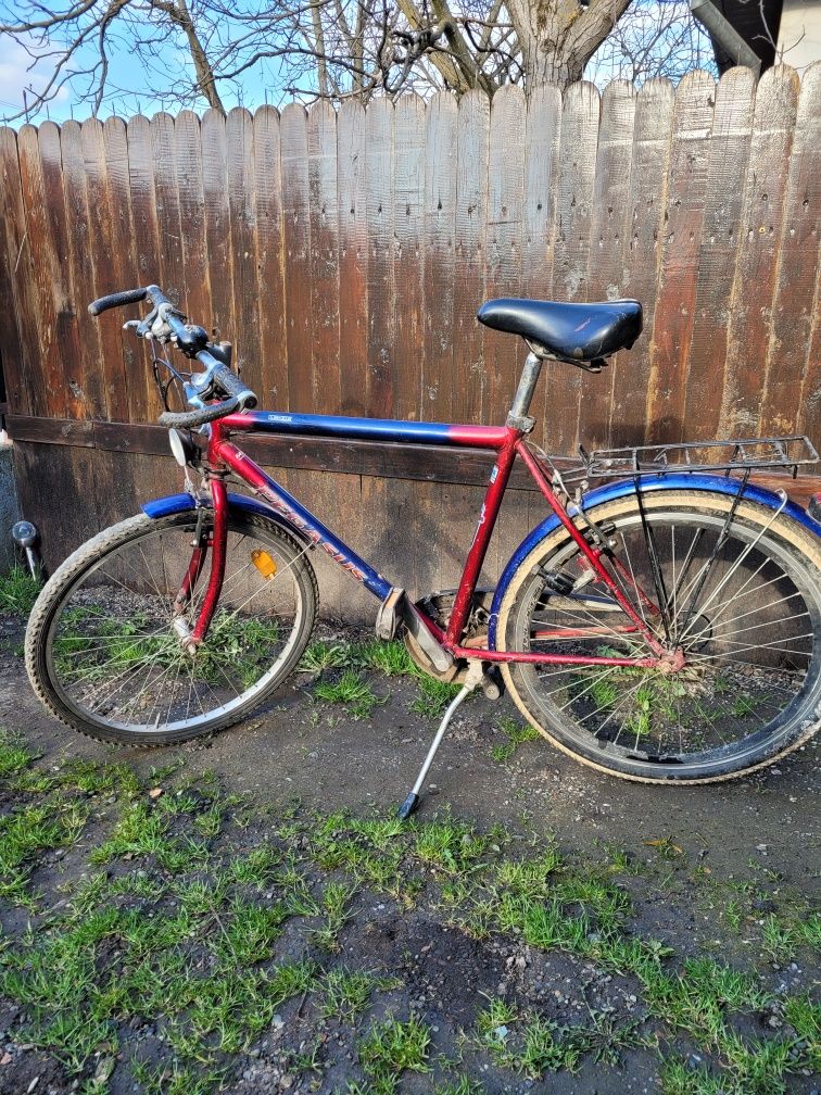 Bicicleta Pegasus