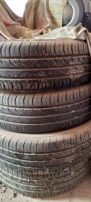 Kobolt radnoy salon sotiladi