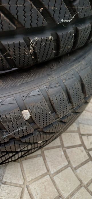 Зимни губи LEAO 205/55 R16 2бр