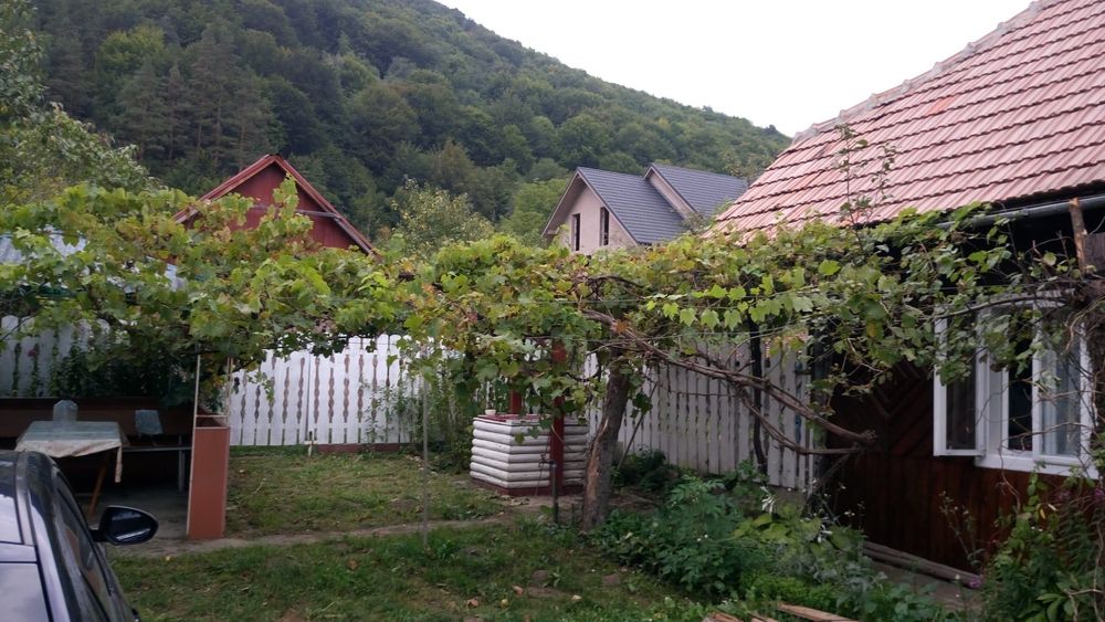 Vanzare casa Poiana Sarata