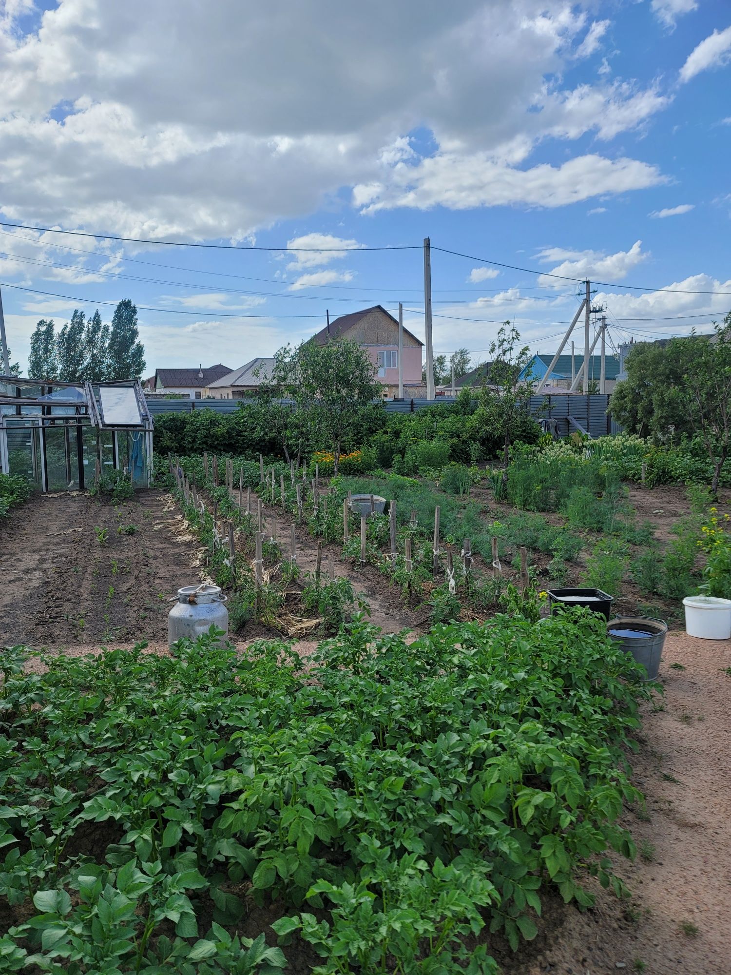 Дом в с.Арайлы (Максимовка)
