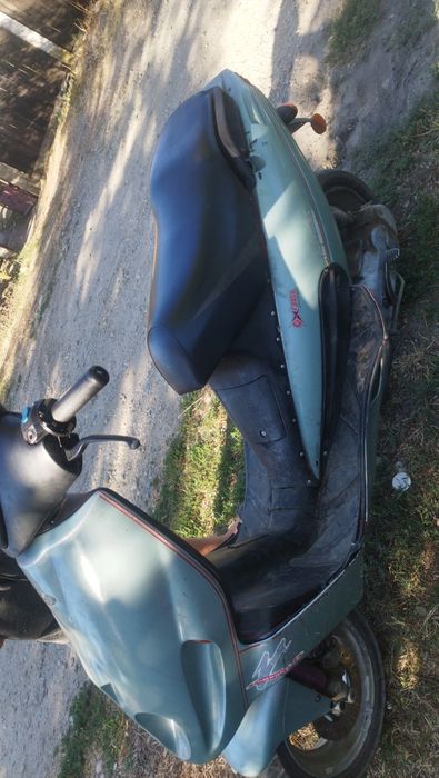 Vând malaguti f12