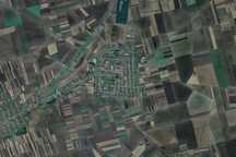 Teren Agricol 4ha Comlosu Mare