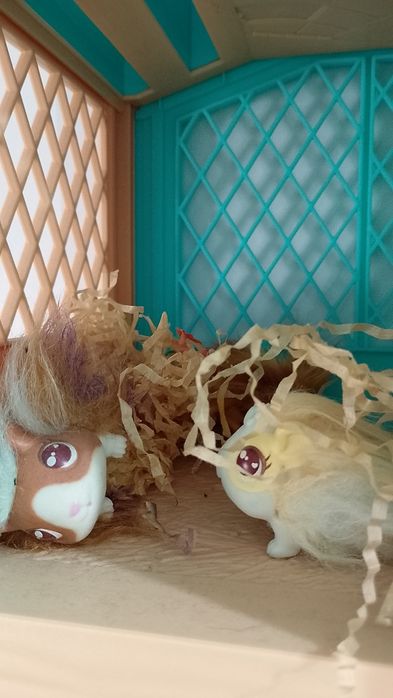 Морско свинче с 3 изненади Mama Surprise - Moose toys