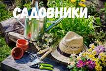Все услуги Садовника Богбон, уборка территорий.