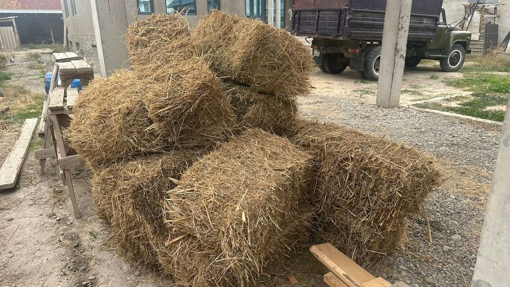 Шөп сатылады, 16 штук , әр тюк 1400 теңгеден
