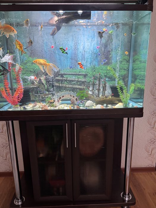 Заводской аквариум 250 литр