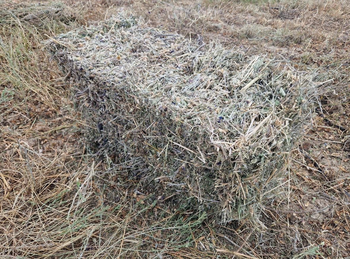 Продам сено суданку и луговое