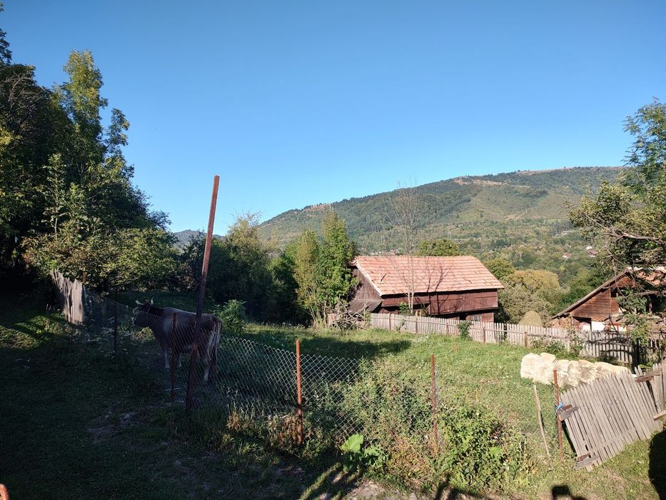 Teren de vânzarea Valea Doftanei