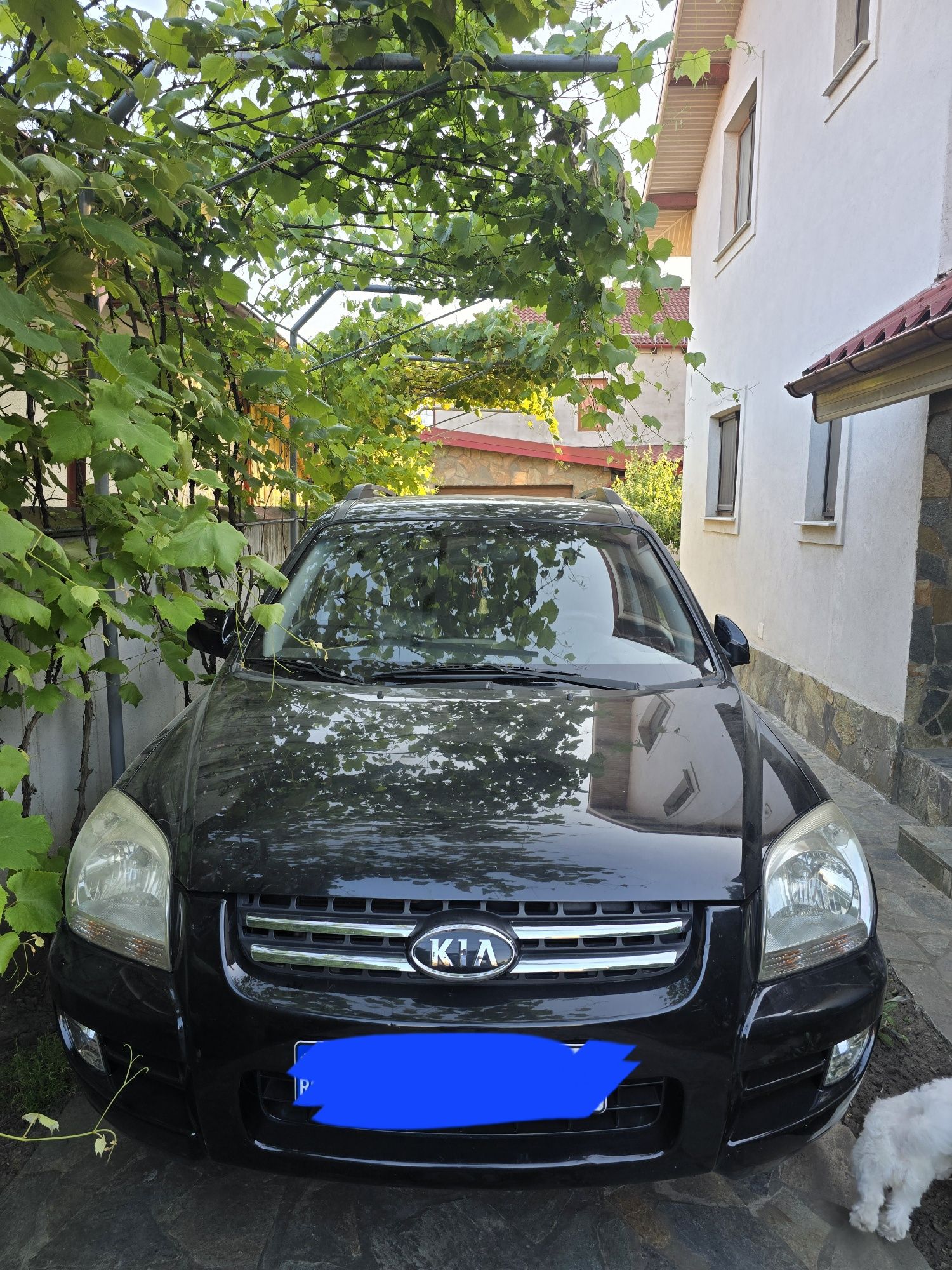 KIA Sportage - 2005, benzina, motor 2.0, 106.000 km reali.