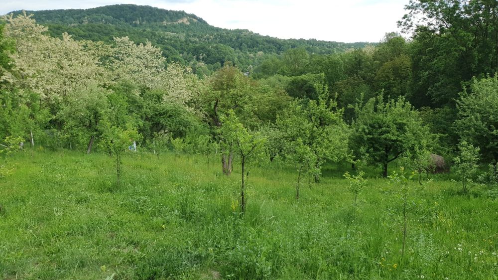 Teren Provita de Sus, Breaza